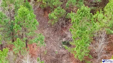 tbd Bill Davis Rd, Summerton, SC 29148 photo 7