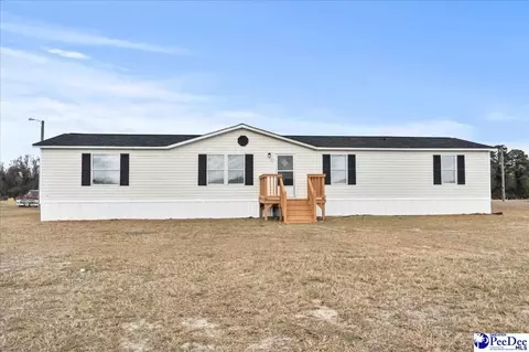 322 Nestle Down Dr, Sellers, SC 29592