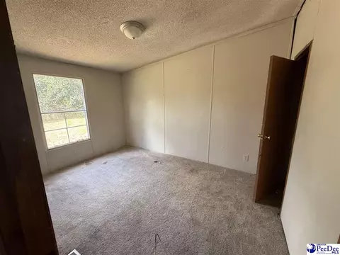 3725 Bobwhite Trl, Effingham, SC 29541 photo 9