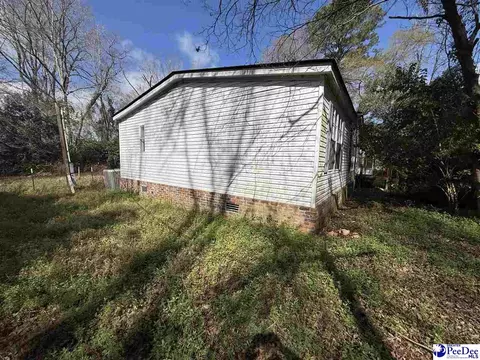 3725 Bobwhite Trl, Effingham, SC 29541 photo 2