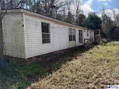 3725 Bobwhite Trl, Effingham, SC 29541 photo 4