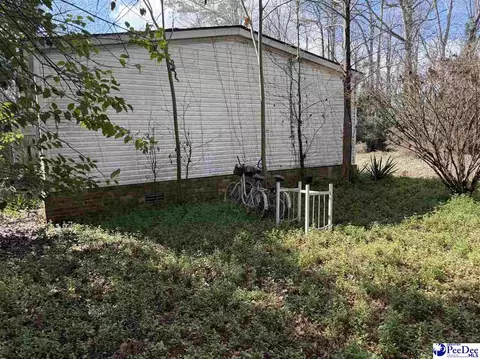 3725 Bobwhite Trl, Effingham, SC 29541 photo 5