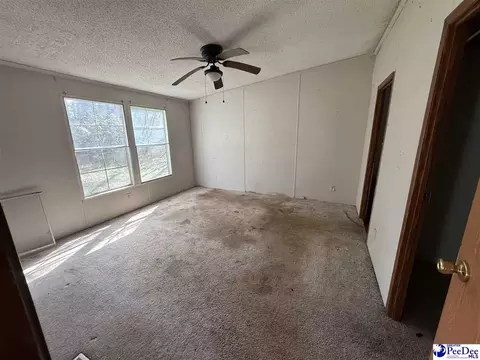 3725 Bobwhite Trl, Effingham, SC 29541 photo 6
