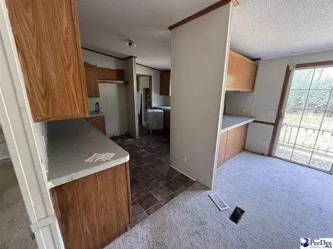 3725 Bobwhite Trl, Effingham, SC 29541 photo 14