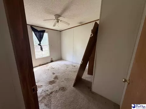 3725 Bobwhite Trl, Effingham, SC 29541 photo 12
