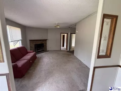 3725 Bobwhite Trl, Effingham, SC 29541 photo 15