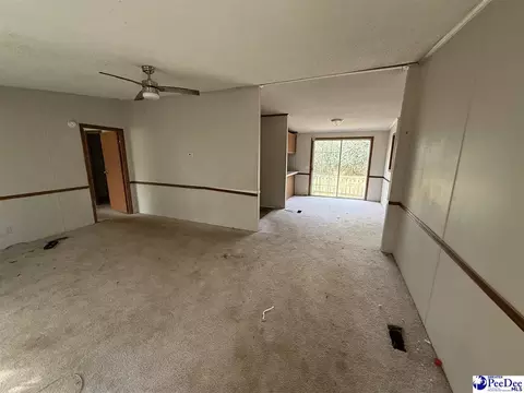 3725 Bobwhite Trl, Effingham, SC 29541 photo 13