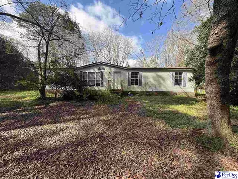 3725 Bobwhite Trl, Effingham, SC 29541 photo 1
