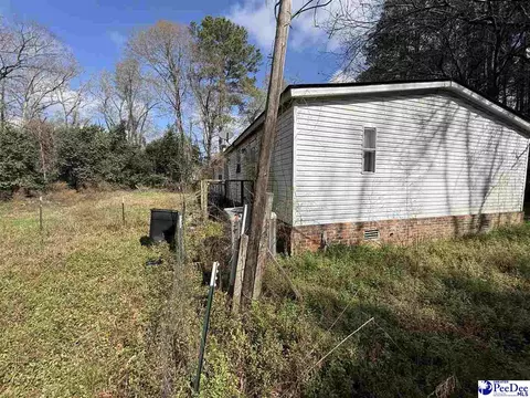 3725 Bobwhite Trl, Effingham, SC 29541 photo 3