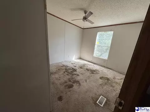 3725 Bobwhite Trl, Effingham, SC 29541 photo 11