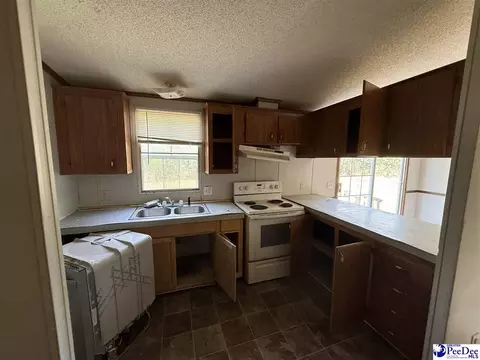 3725 Bobwhite Trl, Effingham, SC 29541 photo 10