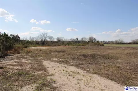 tbd Country Manor Rd, Lamar, SC 29069