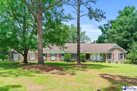 107 Providence Rd, Lamar, SC 29069 photo 3