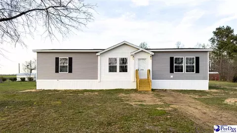 2111 Poor Farm Rd, Effingham, SC 29541