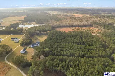 View/Area - 1185 Mclaughlin Rd, Effingham, SC 29541 photo 1 of 5