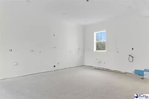 Other - 1185 Mclaughlin Rd, Effingham, SC 29541 photo 8 of 24