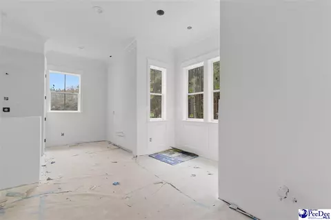 Other - 1185 Mclaughlin Rd, Effingham, SC 29541 photo 10 of 24