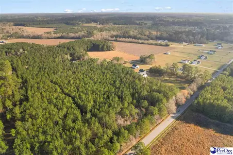 Other - 1185 Mclaughlin Rd, Effingham, SC 29541 photo 19 of 24