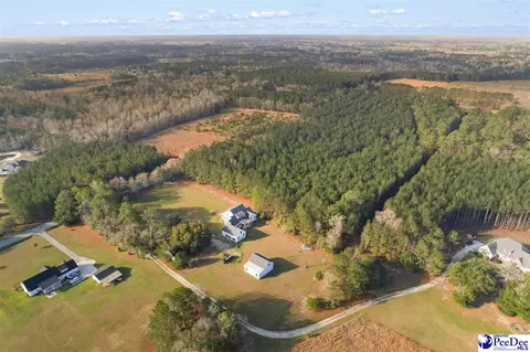 View/Area - 1185 Mclaughlin Rd, Effingham, SC 29541 photo 2 of 5