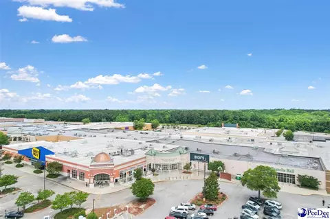 View/Area - 1185 Mclaughlin Rd, Effingham, SC 29541 photo 4 of 5