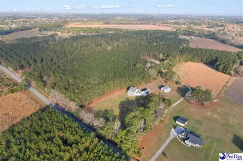 View/Area - 1185 Mclaughlin Rd, Effingham, SC 29541 photo 3 of 5