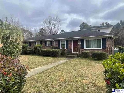 Other - 1529 W Market St, Cheraw, SC 29520 photo 14 of 17