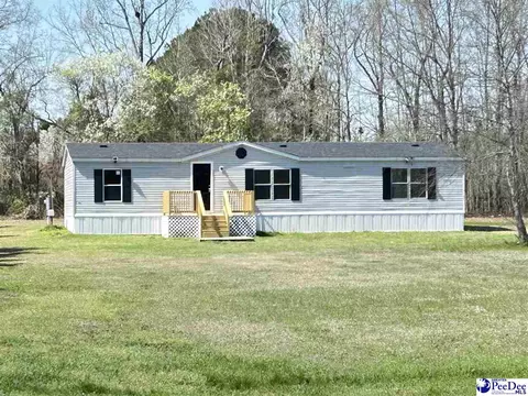 6307 Jordan Rd, Effingham, SC 29541
