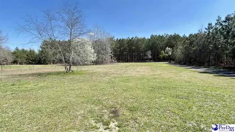6307 Jordan Rd, Effingham, SC 29541 photo 35
