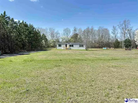 6307 Jordan Rd, Effingham, SC 29541 photo 36