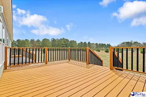2026 Una Rd, Lamar, SC 29069 photo 40