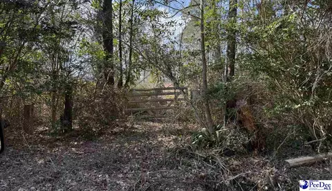 331 Lookout Ct, Marion, SC 29571
