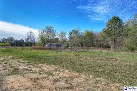 1824 Germantown Pl, Dillon, SC 29536 photo 31