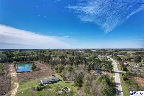 1824 Germantown Pl, Dillon, SC 29536 photo 30