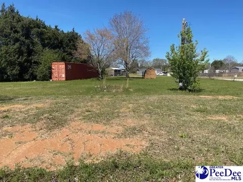 2235 Ashford Rd, Effingham, SC 29541