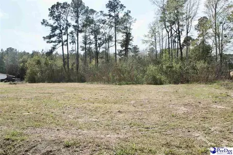 123 S Country Club Rd, Lake City, SC 29560