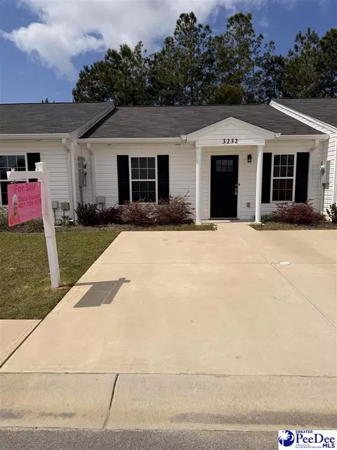 3232 Pleasant Valley Cir, Effingham, SC 29541
