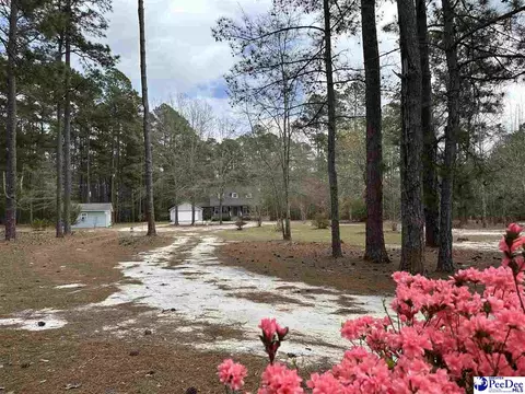 2642 Mckenzie Rd, Mcbee, SC 29101