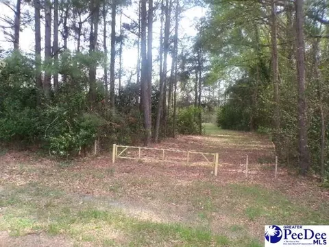 lot2 Easy St, Hartsville, SC 29550