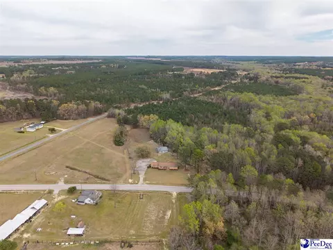 View/Area - 4211 Middendorf Rd, Hartsville, SC 29550 photo 3 of 3