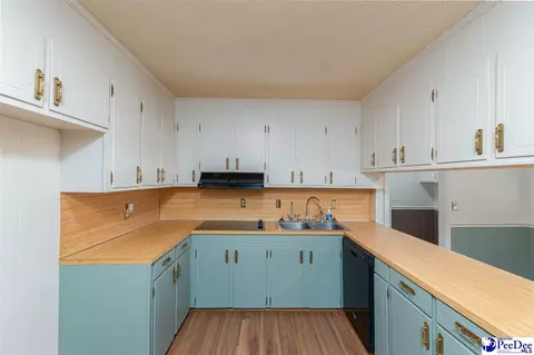 Kitchen - 4211 Middendorf Rd, Hartsville, SC 29550 photo 3 of 4