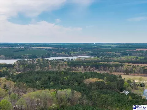 View/Area - 4211 Middendorf Rd, Hartsville, SC 29550 photo 2 of 3