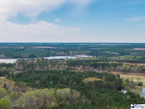 4211 Middendorf Rd, Hartsville, SC 29550 photo 33