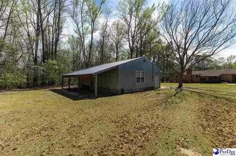 4211 Middendorf Rd, Hartsville, SC 29550 photo 30
