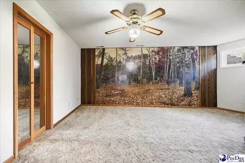 Other - 25560 Hwy 151, Mcbee, SC 29101 photo 13 of 24