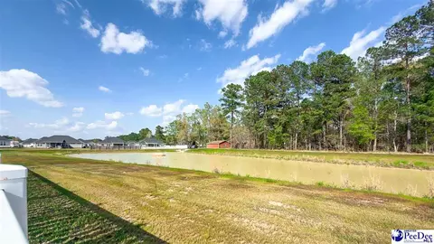 3154 Haven Straits Rd, Florence, SC 29505 photo 34