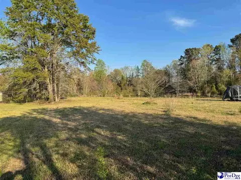 3616 Santana Ct, Florence, SC 29505