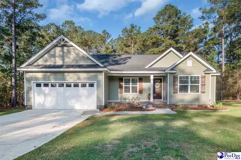 40 Thistledown Ln, Cheraw, SC 29520