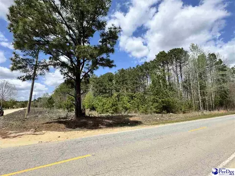 1549 Lester Rd, Dillon, SC 29536 photo 2