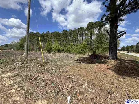 1549 Lester Rd, Dillon, SC 29536