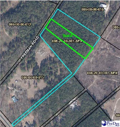 tbd Freeman Rd, Bethune, SC 29009